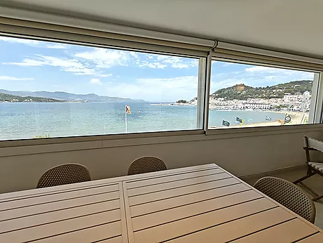 Spectacular renovated beachfront apartment with pool for the entire month of July