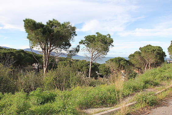URBANITZACIO LA MORA - REC DEL BAL , 10 - EL PORT DE LA SELVA
