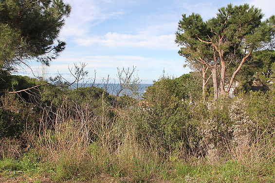 URBANITZACIO LA MORA - REC DEL BAL , 10 - EL PORT DE LA SELVA