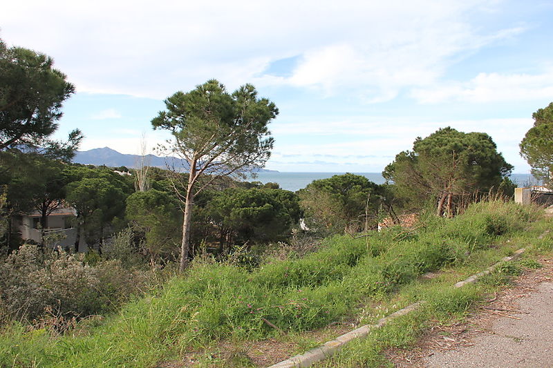 URBANITZACIO LA MORA - REC DEL BAL , 10 - EL PORT DE LA SELVA