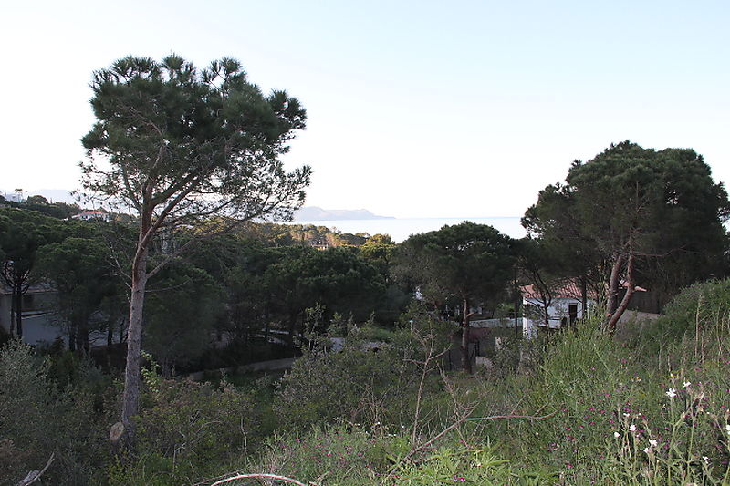 TERRENY AMB BONES VISTES I AMB BONA ORIENTACIÓ.