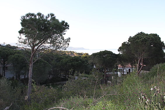 TERRENY AMB BONES VISTES I AMB BONA ORIENTACIÓ.