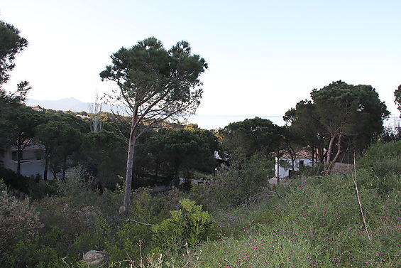 TERRENY AMB BONES VISTES I AMB BONA ORIENTACIÓ.