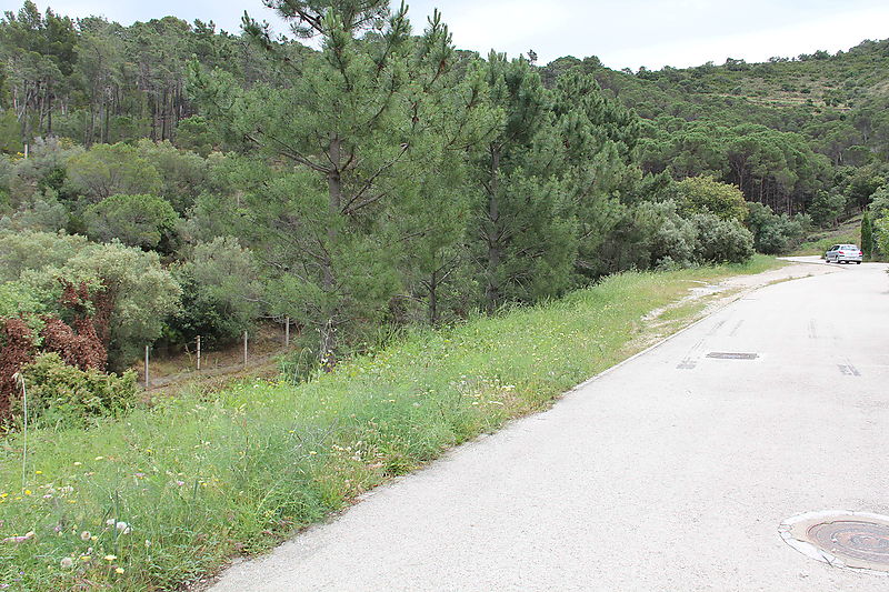 Plot for sale in La Selva de Mar