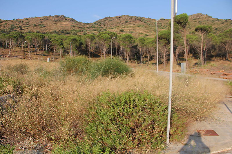 Terrain à vendre à l'Urbanisation La Sorra