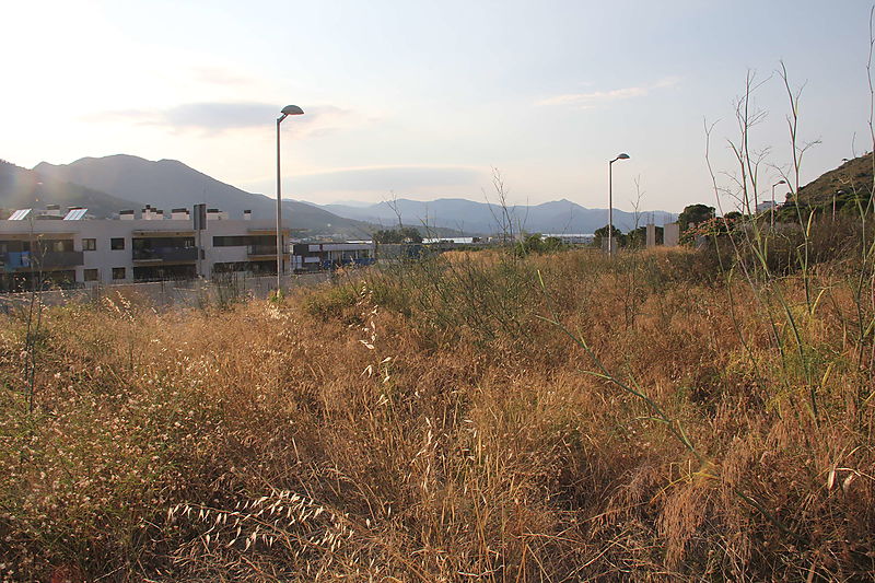 Terrain à vendre dans Urbanisation La Sorra 