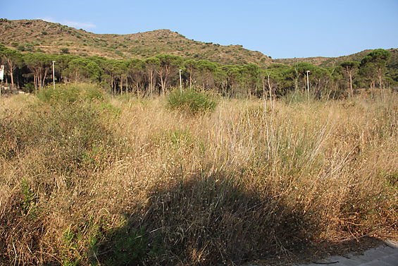 Es ven parcel·la a la Urbanització La Sorra 