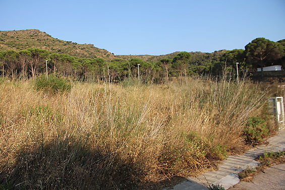 Terrain à vendre dans Urbanisation La Sorra 