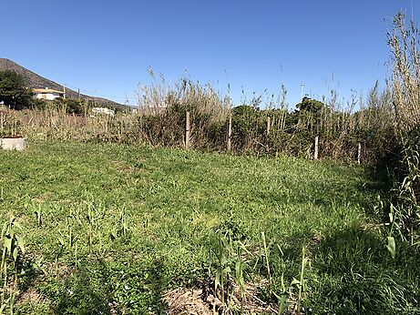 Land for a 473m2 orchard located in the orchard area.