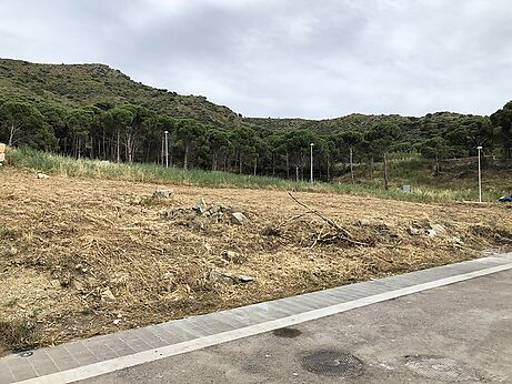 Terrain à vendre dans Urbanisation La Sorra