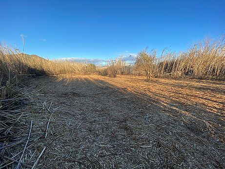 Huerto en venta