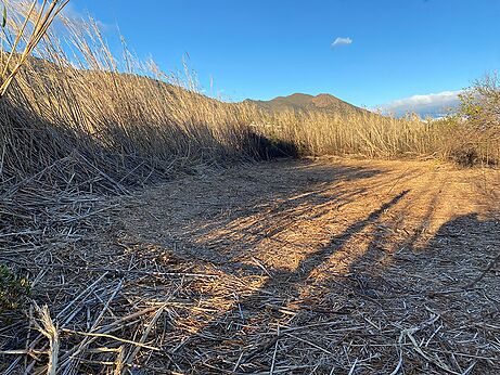 Huerto en venta