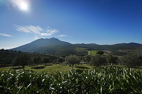 Es ven espectacular finca a la urbanització Perafita del Port de la Selva.